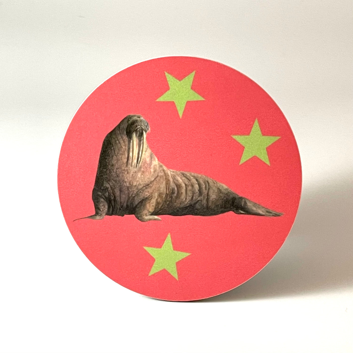Walrus Morse Coaster