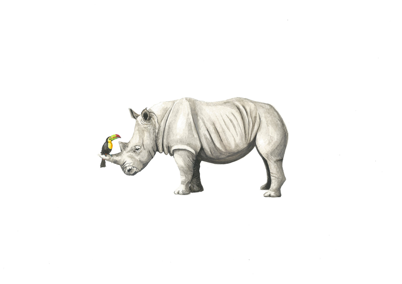 Rhino and Toucan - Arthur and Ryan Print