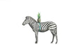 Zebra - Ernie Print