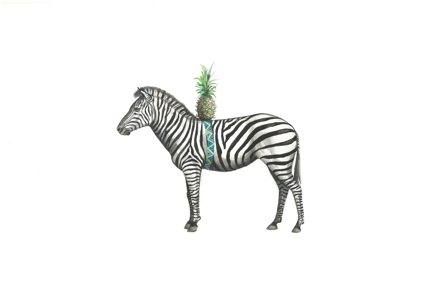 Zebra - Ernie Print
