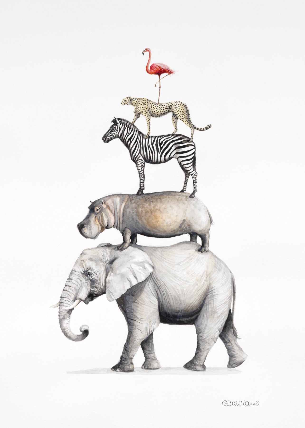 Giant A1 Safari Stack Print Unframed/Unmounted