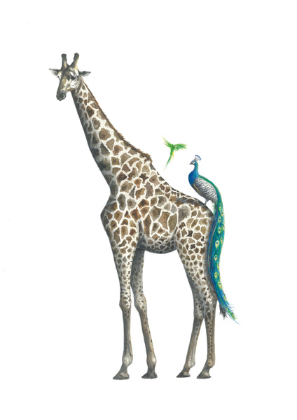 Giraffe and Peacock - Muriel and George Print