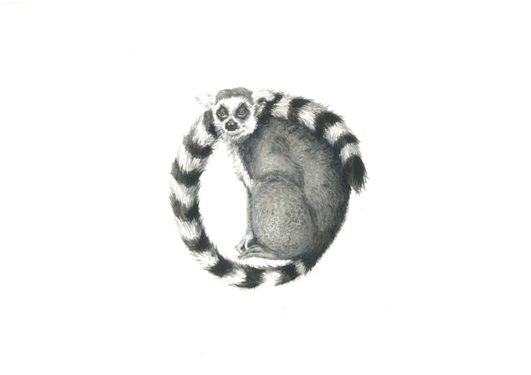 Lemur - Keith Print